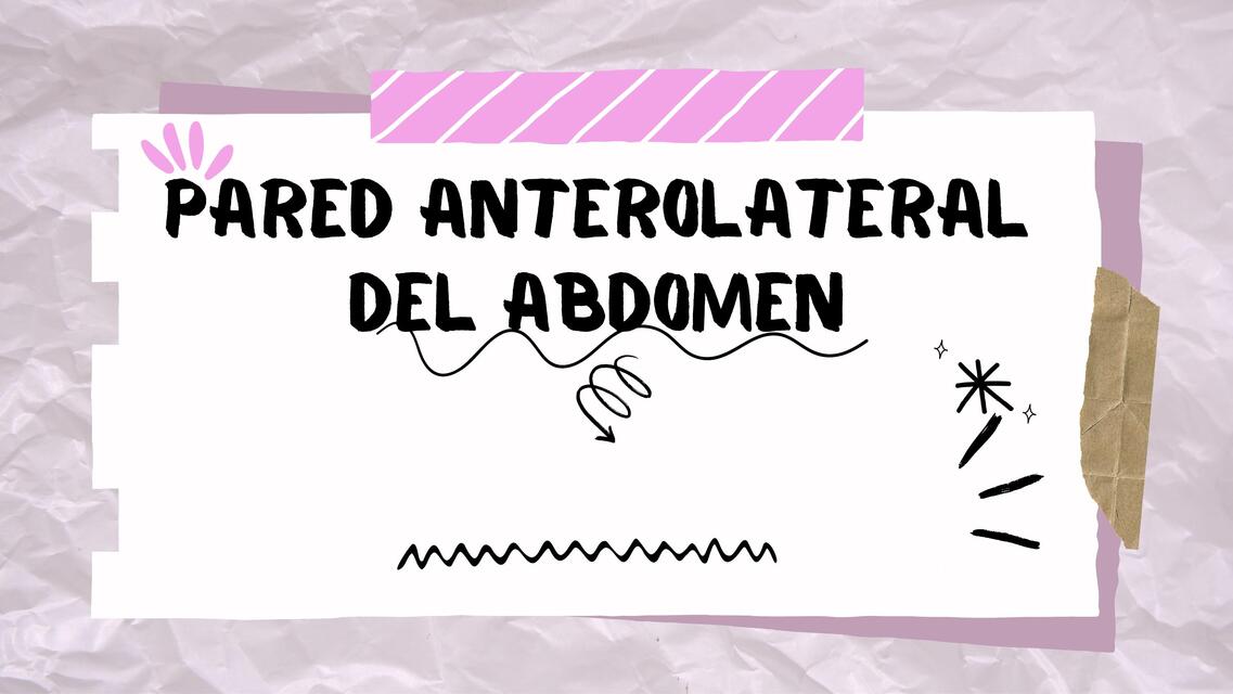 pared anterolateral del abdomen (generalidades)