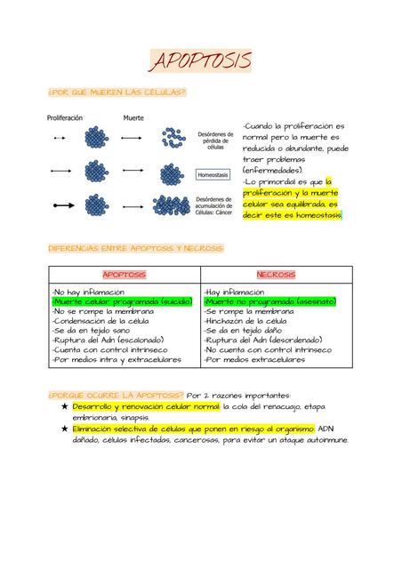 Apoptosis