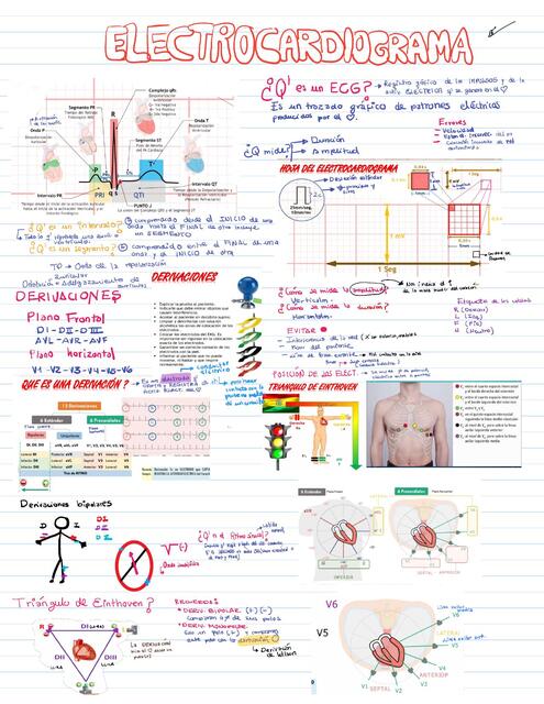 Electrocardiograma Fisio