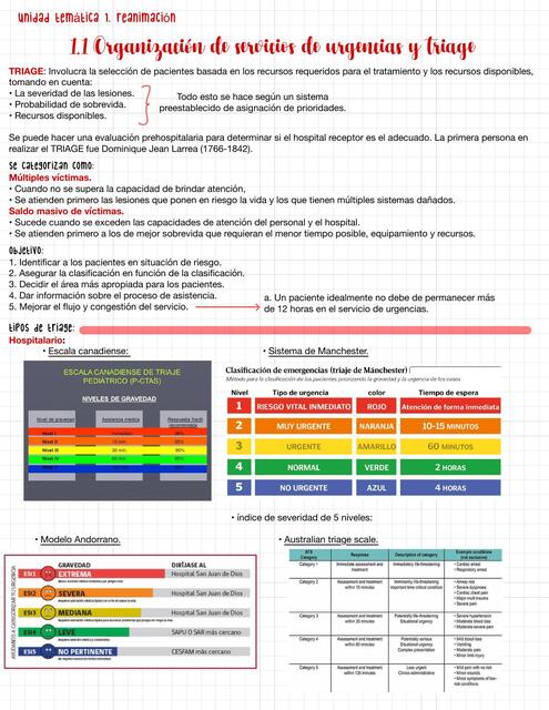 Organización de servicios de urgencias y triage