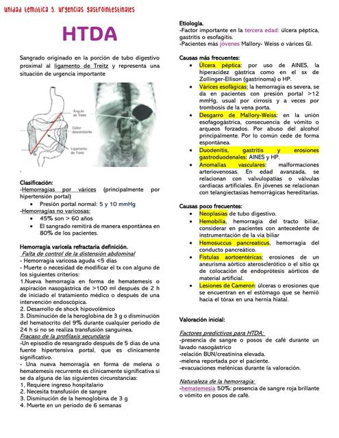 Hemorragia del tubo digestivo alto urgencias