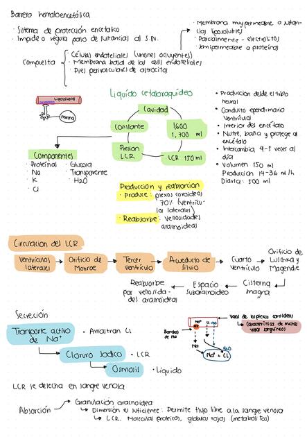 BARRERA HEMATOENCEFÁLICA