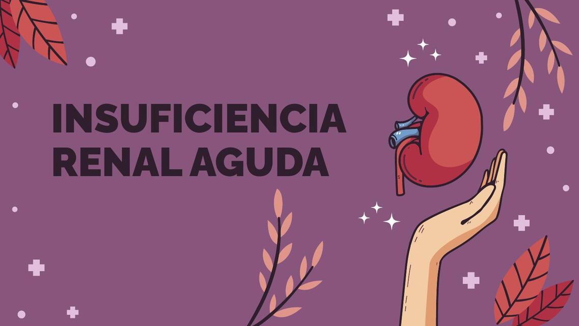 INSUFICIENCIA RENAL AGUDA Y SD HEMOLITICO UREMICO