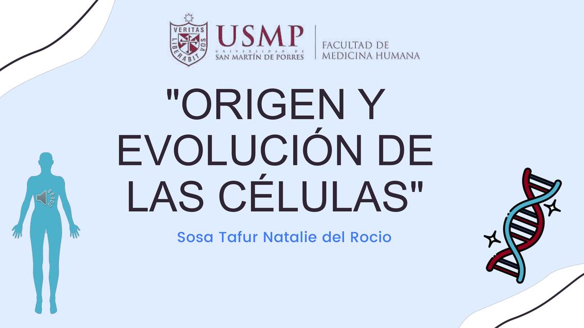 Origen y Evolución