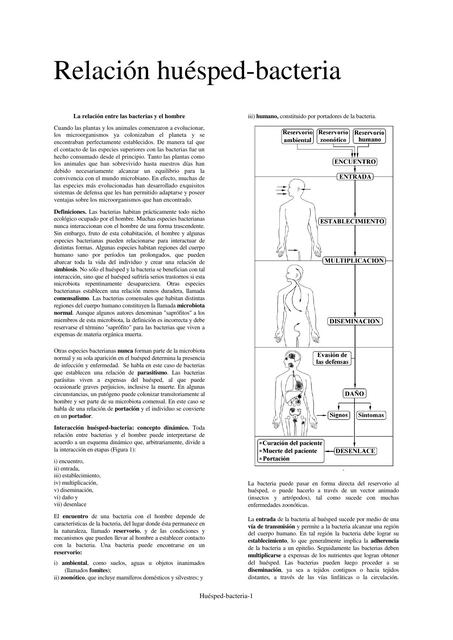 Relación huésped bacteria