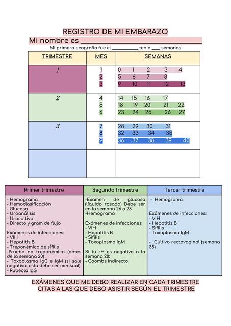 IMPRIMIR A LAS MATERNAS CONTROL PRENATAL