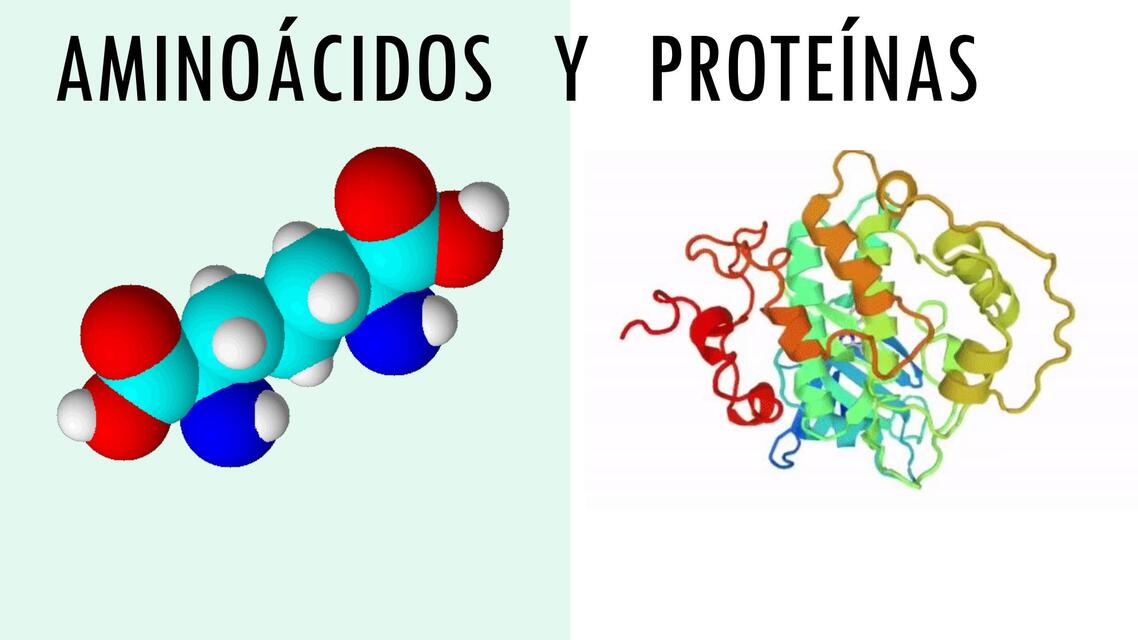 Aminoácidos y proteínas