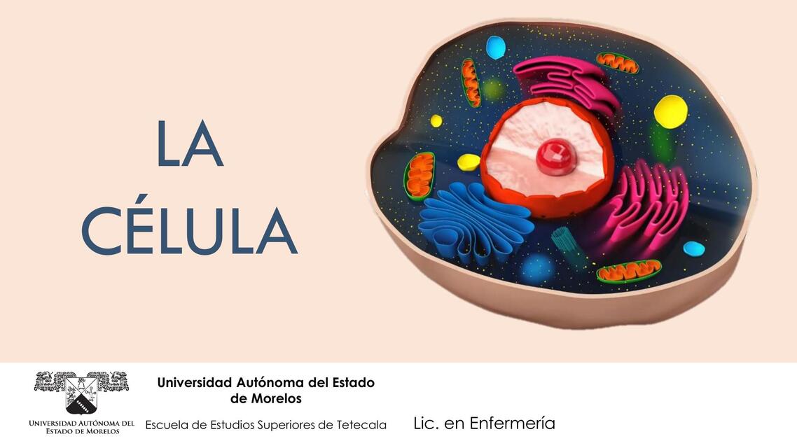 Exposición bioquímica LA CÉLULA