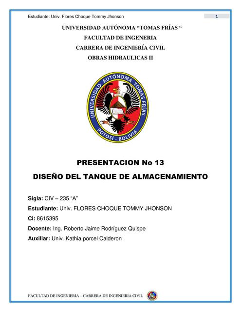 p13 informe