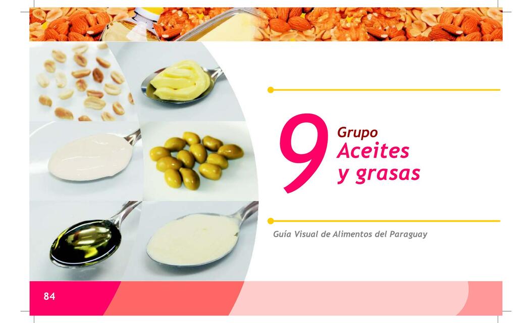 guiavisual alimentos 7 aceites y grasas