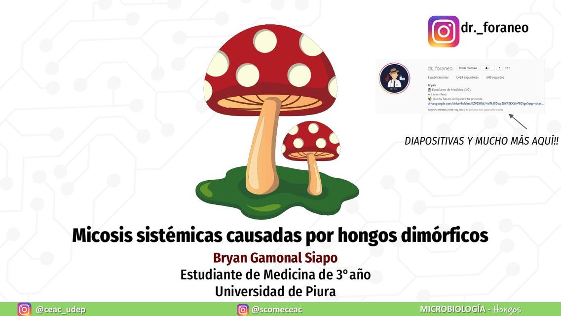 Ponencia Hongos dimorficos