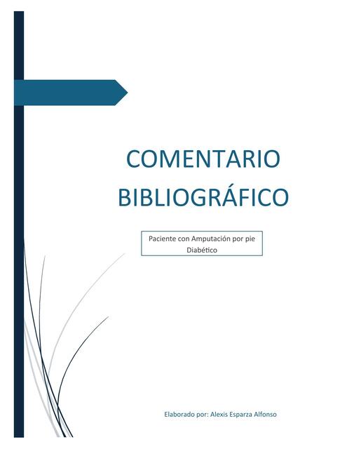 Comentario Bibliografico