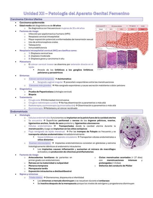 Unidad XII Aparato Genital de la Mujer