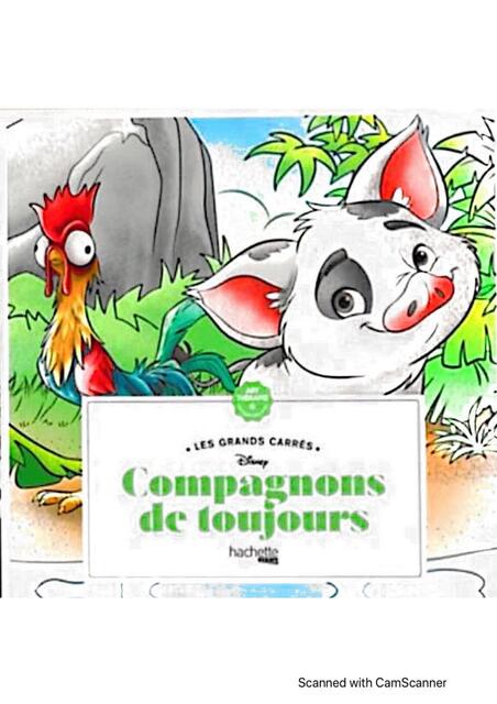 Arteterapia Compañeros para siempre Pua y Hei Hei