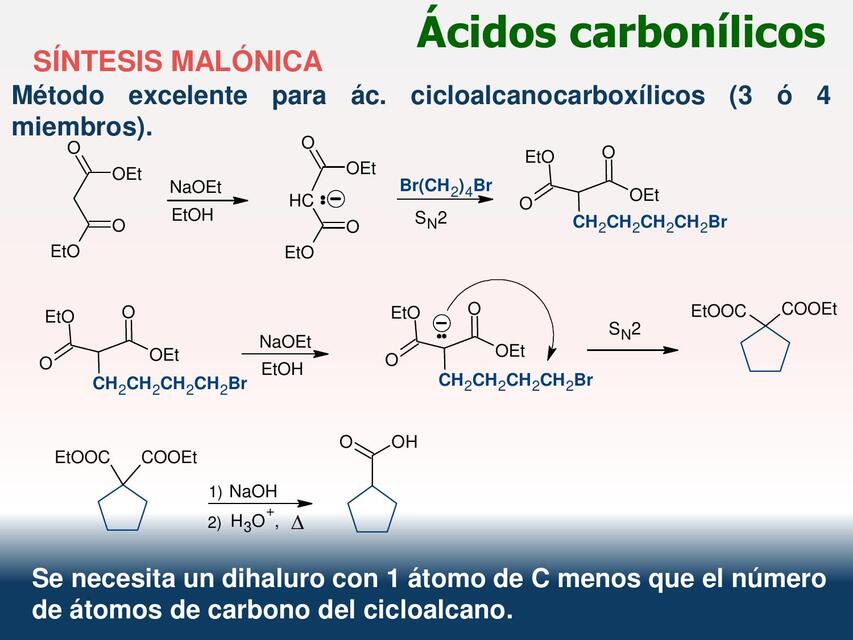 sintesis malonica