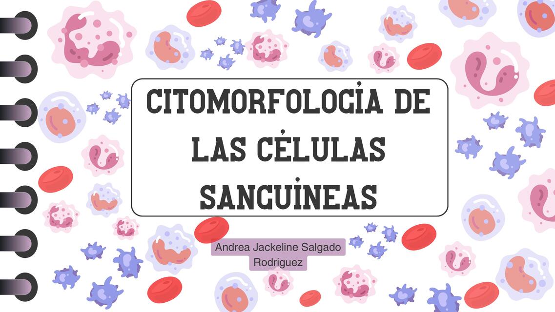 Citomorfología de las Células Sanguíneas