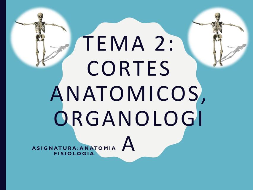 TEMA 2 CORTES ANATOMICOS Y ORGANOLOGIA