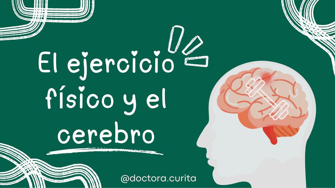 El ejercicio físico y el cerebro