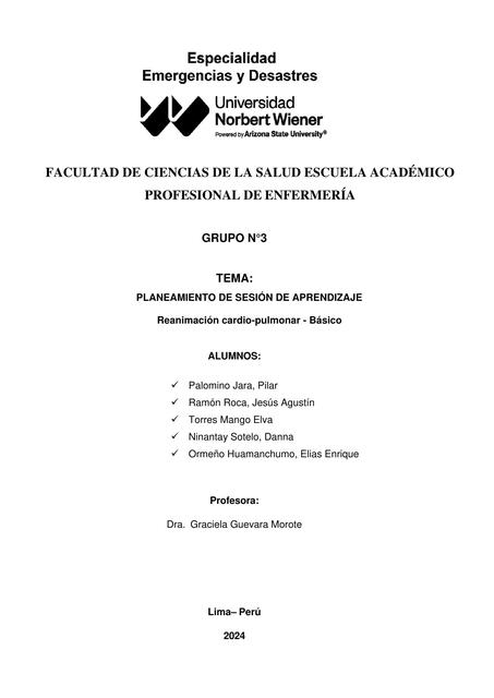 tarea 3 PLAN DE SESIÓN DE APRENDIZAJE RCP