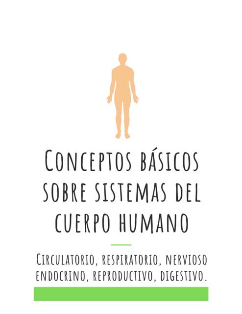 Conceptos básicos sobre sistemas del cuerpo humano