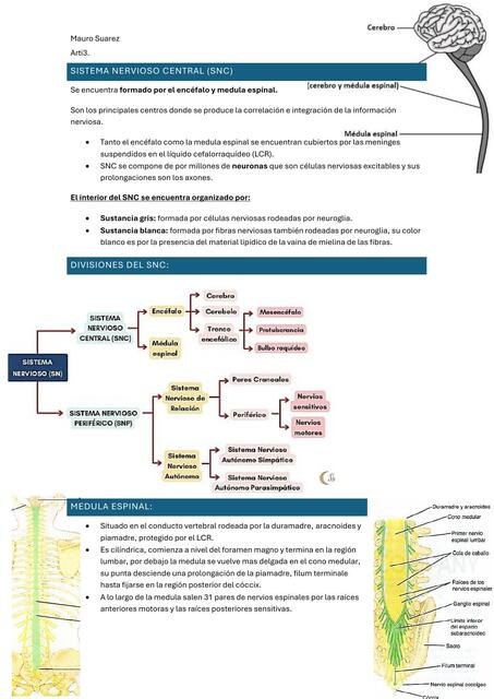 Sistema nervioso central Snell cap1