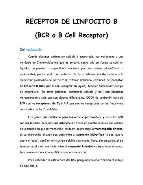 Unidad 6 Receptor de Linfocitos B o BCR