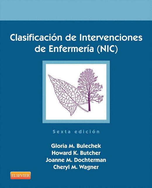 clasificación de intervenciones de enfermería