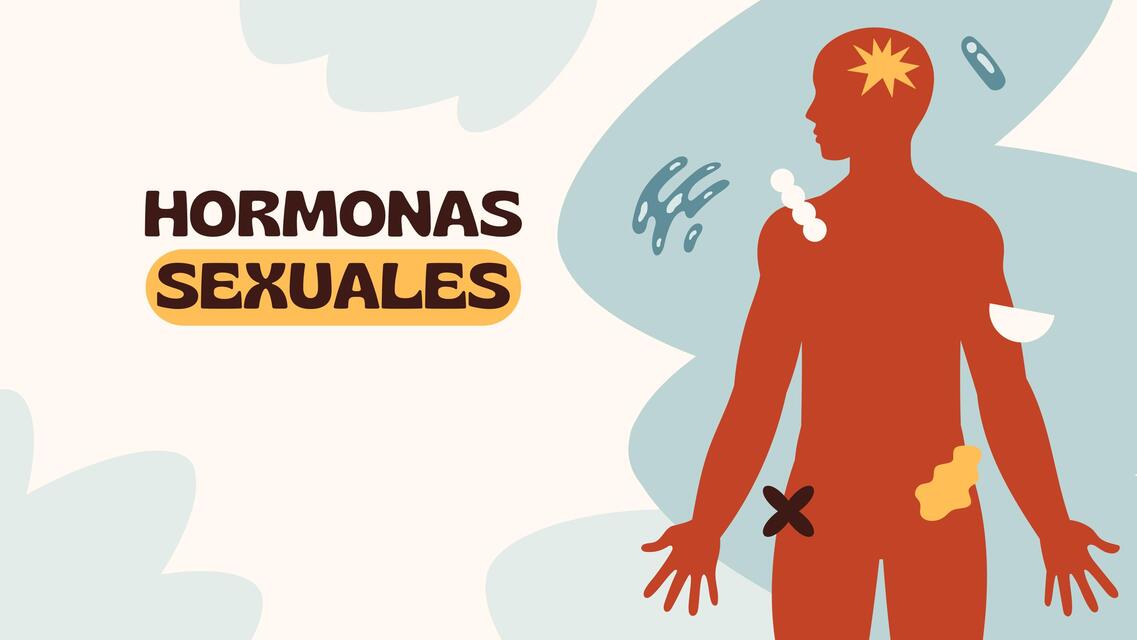 EXPOSICIÓN HORMONAS SEXUALES