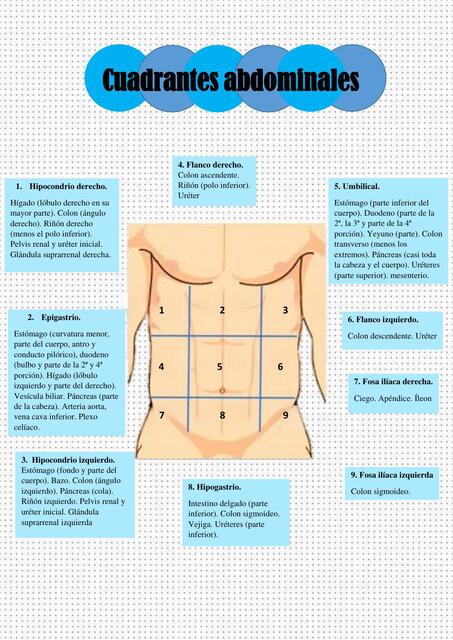 cuadrantes abdominales