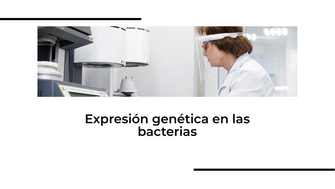 Expresión genética en las bacterias