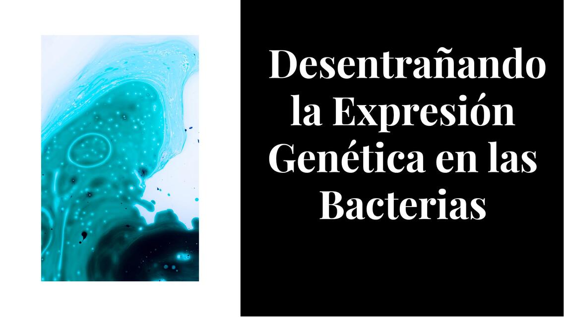 Desentrañando la expresión genética en las bacterias