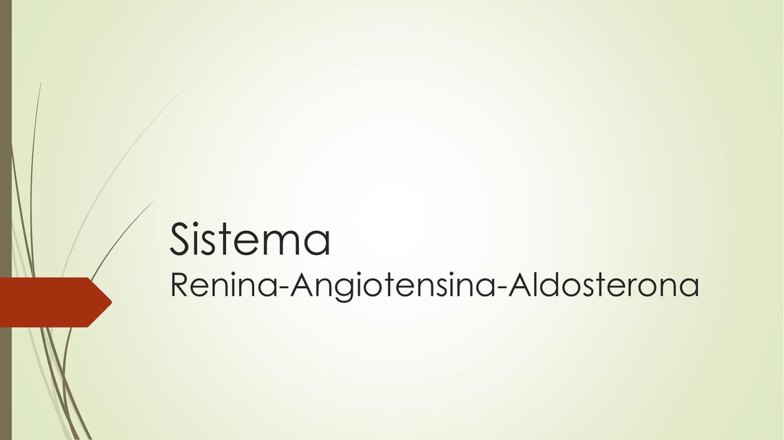 Sistema Renina-Angiotensina-Aldosterona