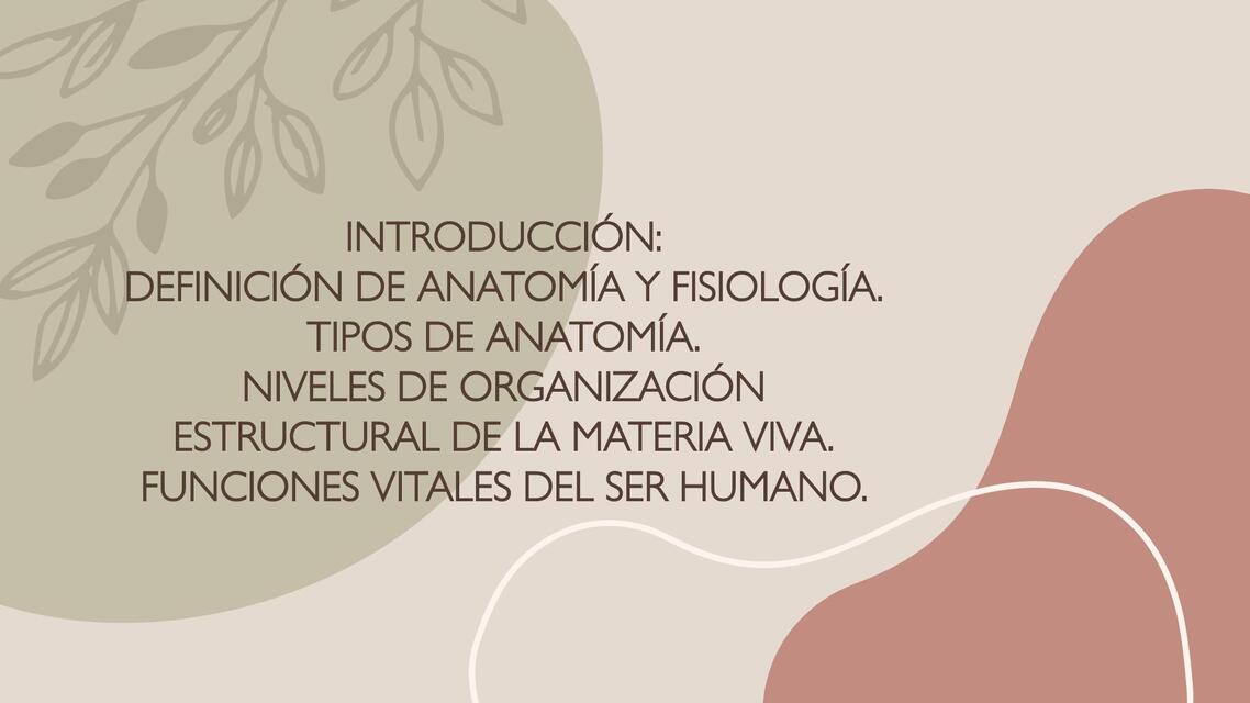 INTRODUCCIÓN A LA ANATOMÍA HUMANA