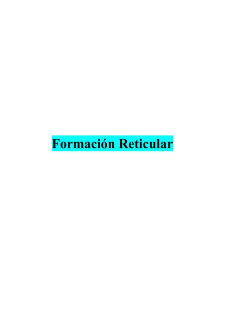 Formación Reticular