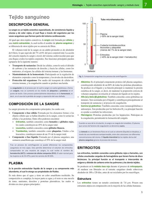 Tejido Sanguíneo Y Medula Ósea