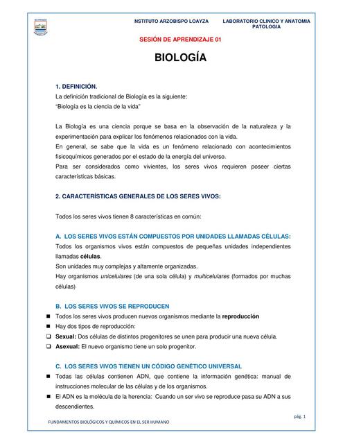 SESIÓN 01 docx