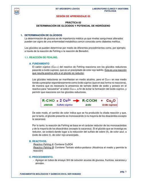 SESIÓN 05 docx