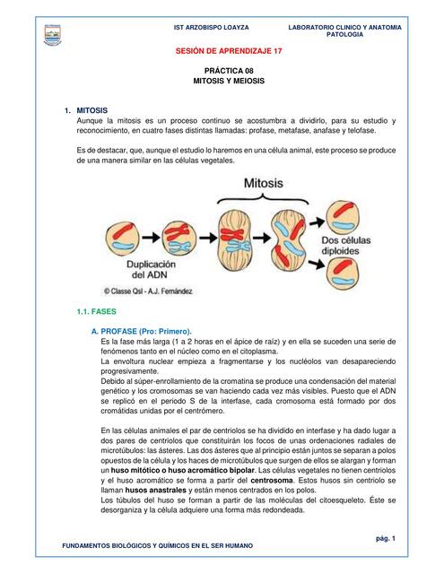 SESIÓN 17 docx