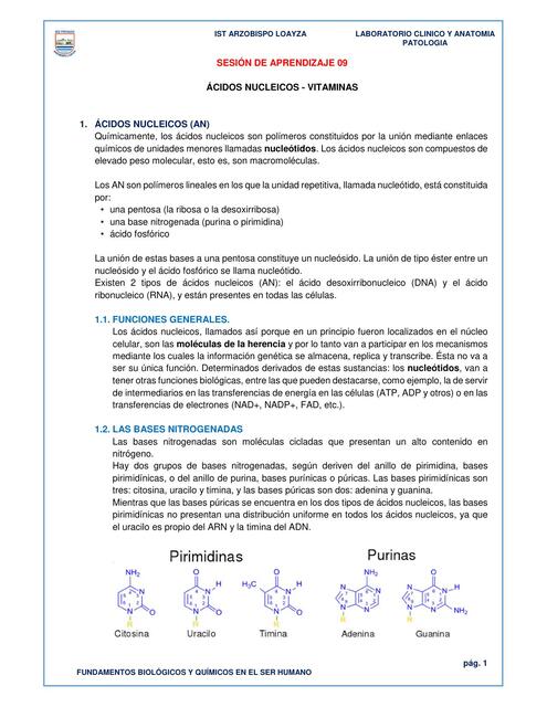 SESIÓN 09 docx