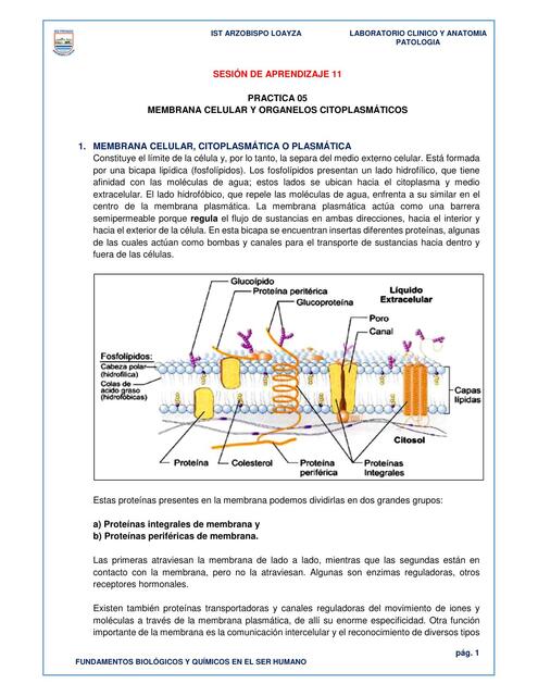 SESIÓN 11 docx