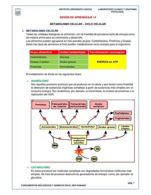 SESIÓN 14 docx