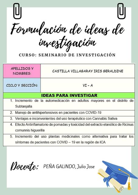 IDEAS DE INVESTIGACIÓN