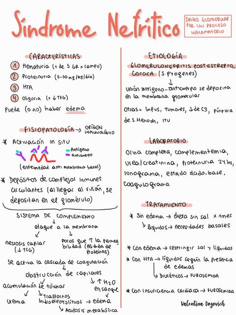 Resumen de Sindrome Nefrítico