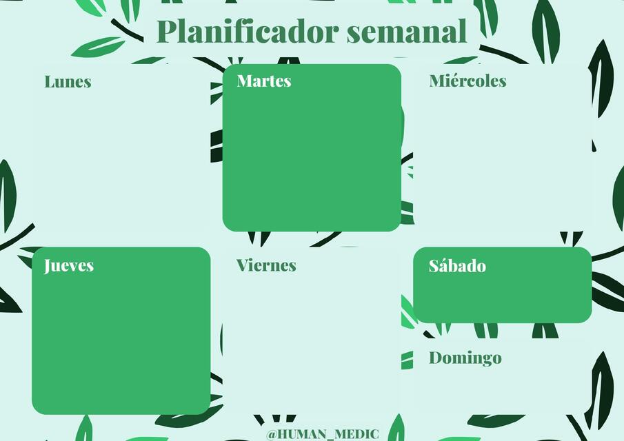 PLANIFICADOR SEMANAL 2025