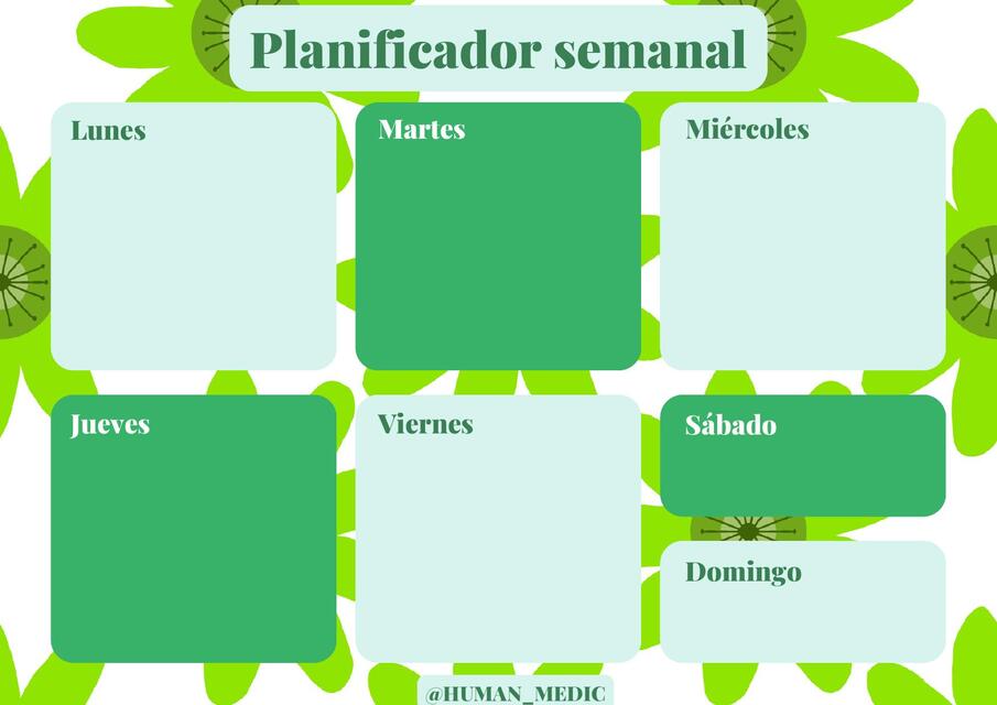 PLANIFICADOR SEMANAL 2025