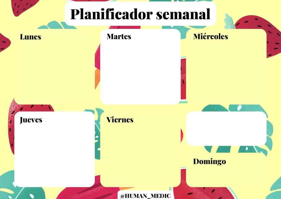 PLANIFICADOR SEMANAL 2025