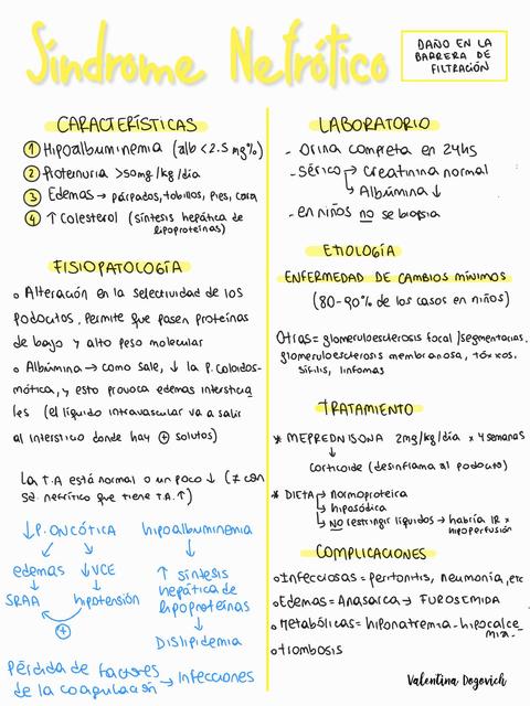 Resumen de Sindrome Nefrótico