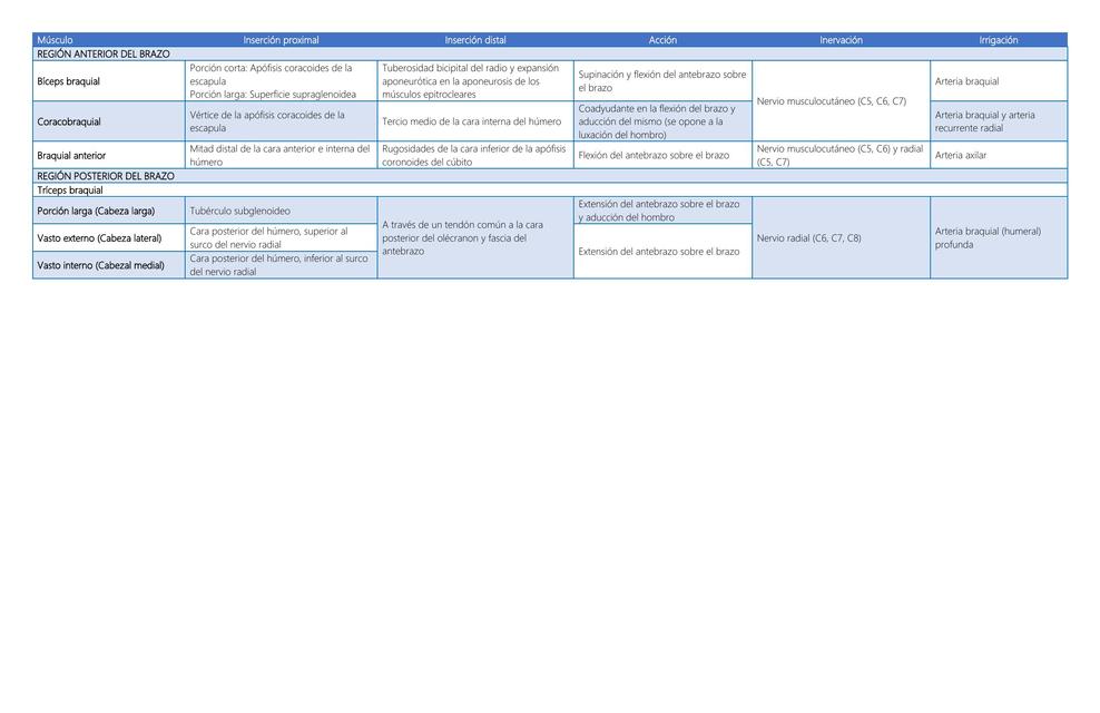 Músculos del compartimiento anterior y posterior del brazo