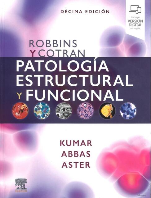 Robbins Patologia Estructural y Funcional 10a Edic