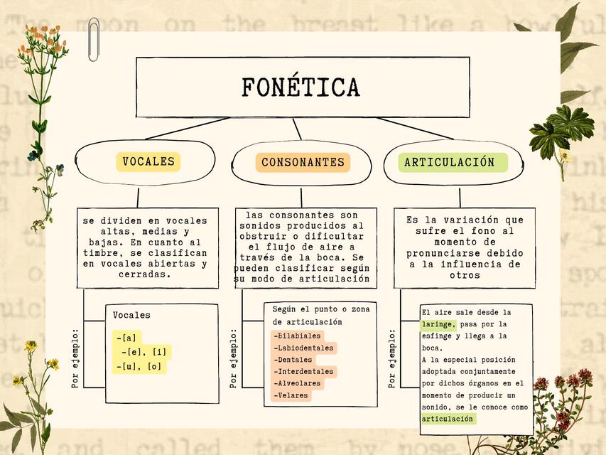 fonetica